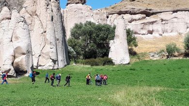 تصویر برخورد با ۳۵ تور گردشگری غیرمجاز در تبریز