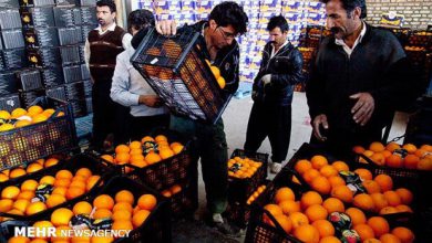 تصویر دلال‌ها از فرنگ می‌آیند/ باغدار ناچار، تاجر نالان و مسئول خندان