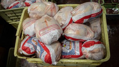 تصویر نگرانی از بابت تأمین گوشت مرغ مورد نیاز مردم اهر وجود ندارد