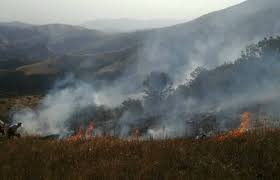 تصویر آتش سوزی در ارتفاعات مرزی تمرچین پیرانشهر مهار شد