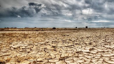 تصویر خشکسالی در انتظار ایران؛ بارش‌های امسال زیر حد نرمال است