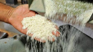 تصویر واردات برنج از ۱۵ آذر ازسر گرفته می‌شود