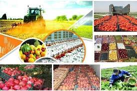 تصویر سالانه پنج میلیون تن محصول کشاورزی در آذربایجان‌شرقی تولید می‌شود