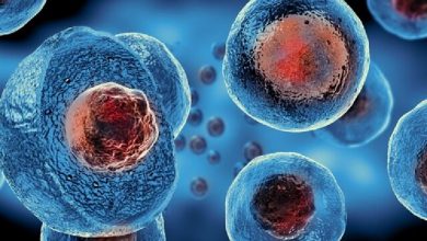 تصویر تاثیر شگفت‌انگیز سلول‌های بنیادی بر درمان کووید-۱۹