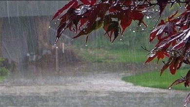 تصویر افزایش ۱۵ درصدی بارش‌ها در آذربایجان‌شرقی