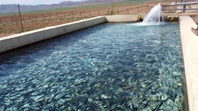 تصویر استخرهای ذخیره آب کشاورزی منابع بالقوه آبزی پروری آذربایجان شرقی/وجود ۲۰۰ استخر فعال در استان
