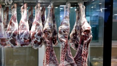 تصویر کاهش تقاضای گوشت گاوی