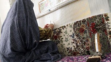 تصویر ابلاغ تاسیس و بهره‌برداری از صندوق ضمانت اشتغال خُرد زنان سرپرست‌خانوار به وزارت کار