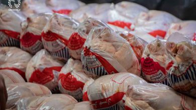 تصویر عرضه گوشت مرغ با قیمت مصوب ۶۳ هزار تومان در بازار