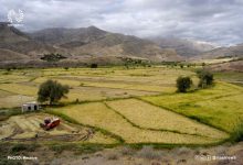 تصویر ۲ هزار مزرعه و ۶۰۰ قطعه باغ آذربایجان شرقی وقفی است