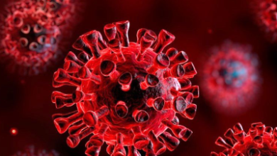 تصویر پاندمی کرونا باعث اختلال در خدمات افراد مبتلا به ایدز شد