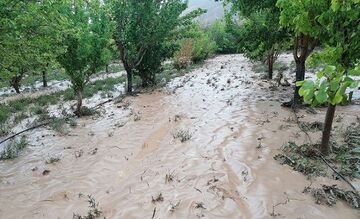 تصویر خسارت باران به آذربایجان‌شرقی