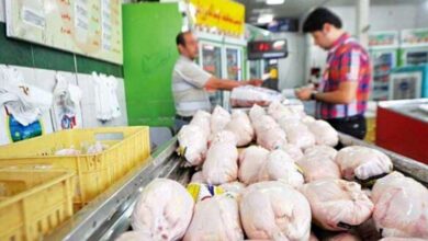 تصویر توزیع ۸۴۰ تن مرغ منجمد در یک هفته برای تنظیم بازار