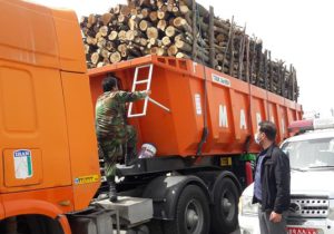تصویر کشف و ضبط ۱۶۶ تن چوب قاچاق در آذربایجان‌شرقی