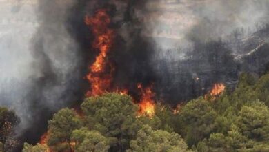 تصویر عامل اصلی آتش‌سوزی در جنگل‌های قره داغ گردشگران است