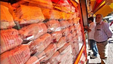تصویر بی‌اعتنایی بازار مرغ به قیمت‌دستوری ۷۳ هزار تومانی!