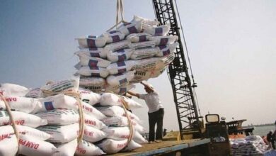 تصویر واردات برنج ممنوع شد
