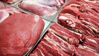 تصویر افزایش تولید گوشت قرمز در کشور