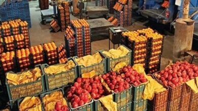 تصویر عرضه میوه عید با قیمت تنظیم بازار از ۲۷ اسفند در آذربایجان‌شرقی