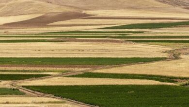 تصویر ۳۹۵ هکتار اراضی کشاورزی در آذربایجان شرقی واگذار شد