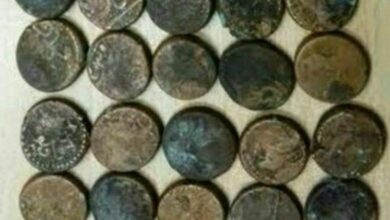 تصویر کشف سکه‌های تاریخی از یک خانه روستایی در مراغه