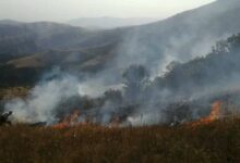 تصویر آتش‌سوزی در جنگل‌های ارسباران ۵۰ درصد کاهش یافته‌است