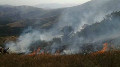 تصویر آتش‌سوزی در جنگل‌های ارسباران ۵۰ درصد کاهش یافته‌است