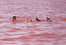 تصویر وسعت دریاچه ارومیه افزایش یافته است