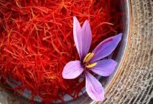 تصویر افزایش صادرات زعفران‌ با بسته‌ بندی/ مشتریان زعفران ایرانی کدامند؟