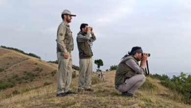 تصویر محیط بان نمونه ماه انتخاب می شود