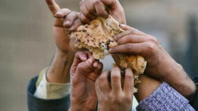 تصویر جایگاه ایران در جدول جهانی سوءتغذیه/ هشدار به ۸ استان