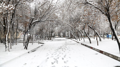 تصویر برف و باران در ۹ استان