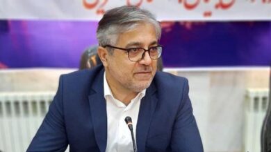 تصویر بانک اطلاعات سارقان حرفه ای در دست تکمیل است