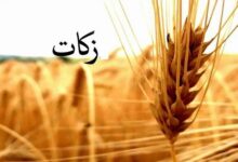 تصویر جمع آوری ۱۹۲ میلیارد تومان زکات در آذربایجان شرقی